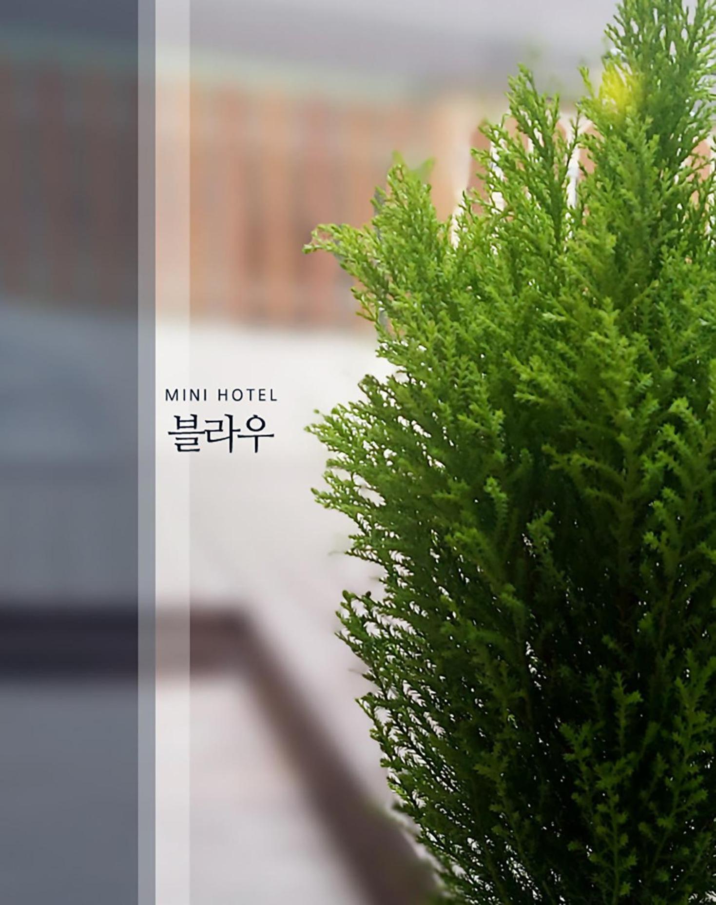 Blau Guesthouse คยองจู ภายนอก รูปภาพ