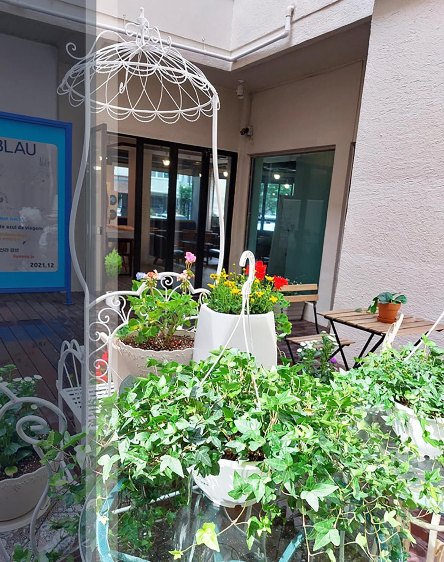 Blau Guesthouse คยองจู ภายนอก รูปภาพ